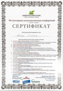 Сертификат: курс лекций Ветеринарной политематической конференции, ООО «АВК» (AGROVETCONSULTING), Москва — Т. Ю. Майер
