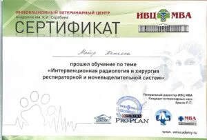 Сертификат: обучение по теме «Интервенционная радиология и хирургия респираторной и мочевыделительной систем», ИВЦ МВА им. К. И. Скрябина — Т. Ю. Майер