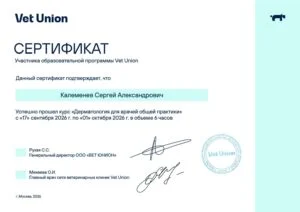 Сертификат участника образовательной программы Vet Union: курс «Дерматология для врачей общей практики», 2026 — С. А. Калеменев